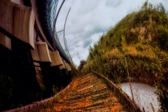 OldPathAlongTheNewTrainTrack_warped_1600